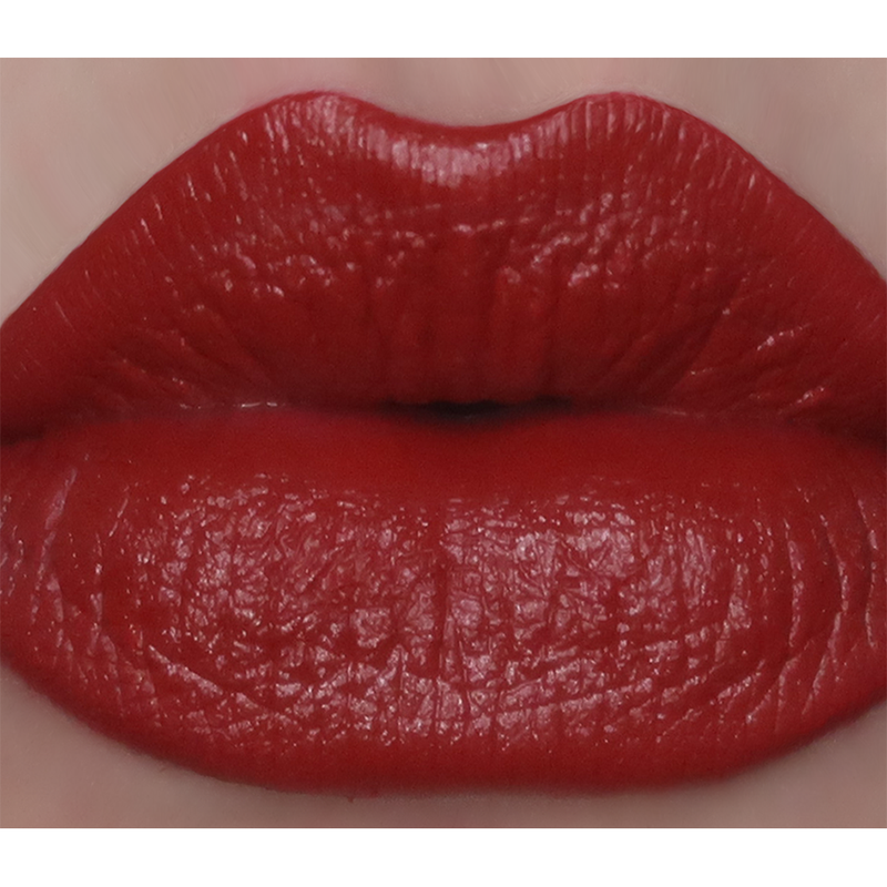 Selena - Dark Red Lipstick Soft Matte Formula